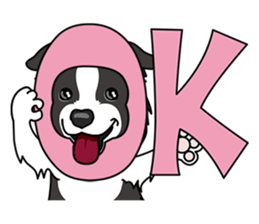 BORDERCOLLIE @ SURFBORDER sticker #5856094