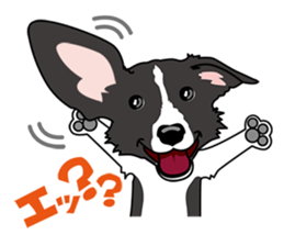 BORDERCOLLIE @ SURFBORDER sticker #5856096