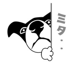 BORDERCOLLIE @ SURFBORDER sticker #5856098