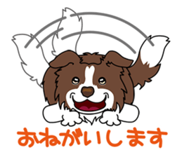 BORDERCOLLIE @ SURFBORDER sticker #5856099