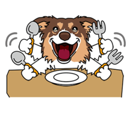 BORDERCOLLIE @ SURFBORDER sticker #5856100