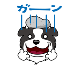 BORDERCOLLIE @ SURFBORDER sticker #5856102