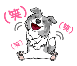 BORDERCOLLIE @ SURFBORDER sticker #5856104