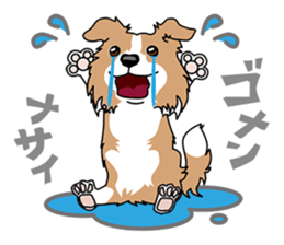 BORDERCOLLIE @ SURFBORDER sticker #5856105