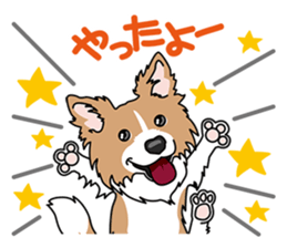 BORDERCOLLIE @ SURFBORDER sticker #5856106