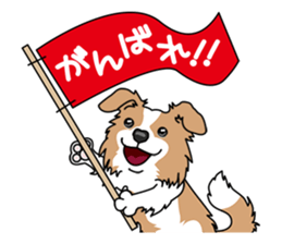 BORDERCOLLIE @ SURFBORDER sticker #5856107