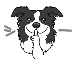 BORDERCOLLIE @ SURFBORDER sticker #5856108