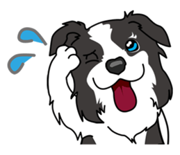 BORDERCOLLIE @ SURFBORDER sticker #5856109