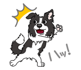 BORDERCOLLIE @ SURFBORDER sticker #5856111