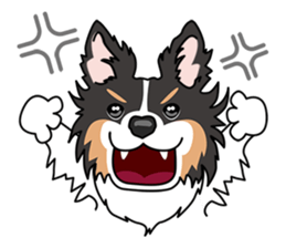 BORDERCOLLIE @ SURFBORDER sticker #5856113