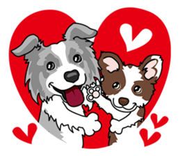 BORDERCOLLIE @ SURFBORDER sticker #5856114