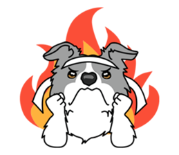 BORDERCOLLIE @ SURFBORDER sticker #5856115