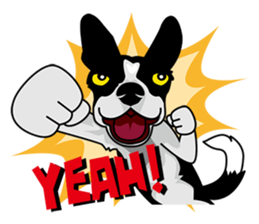 BORDERCOLLIE @ SURFBORDER sticker #5856117