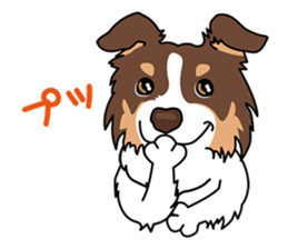 BORDERCOLLIE @ SURFBORDER sticker #5856118