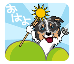 BORDERCOLLIE @ SURFBORDER sticker #5856119