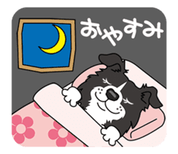 BORDERCOLLIE @ SURFBORDER sticker #5856120