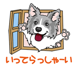 BORDERCOLLIE @ SURFBORDER sticker #5856121