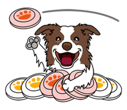 BORDERCOLLIE @ SURFBORDER sticker #5856122