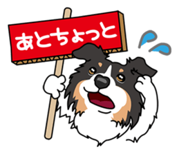 BORDERCOLLIE @ SURFBORDER sticker #5856123