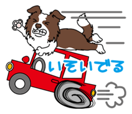 BORDERCOLLIE @ SURFBORDER sticker #5856125