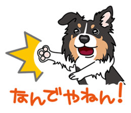 BORDERCOLLIE @ SURFBORDER sticker #5856128