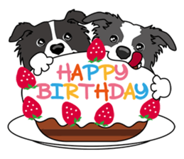 BORDERCOLLIE @ SURFBORDER sticker #5856129