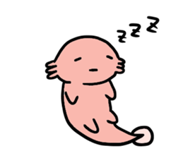 Ambystoma mexicanum animation sticker #5856172