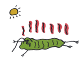 Mr,Euglena Ver3 summer version sticker #5856441