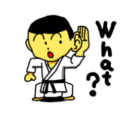 Karate boy! sticker #5857785