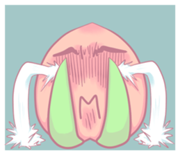 MOMO's life style(Chinese ver.) sticker #5857953