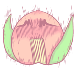 MOMO's life style(Chinese ver.) sticker #5857954