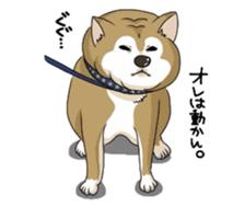 SHIBAKEN-BIYORI. sticker #5858412