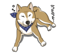 SHIBAKEN-BIYORI. sticker #5858413