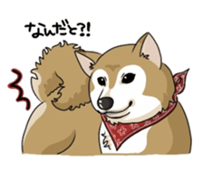 SHIBAKEN-BIYORI. sticker #5858415