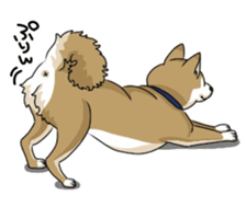 SHIBAKEN-BIYORI. sticker #5858417