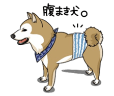 SHIBAKEN-BIYORI. sticker #5858418