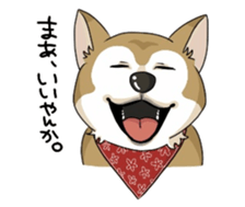 SHIBAKEN-BIYORI. sticker #5858420