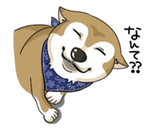 SHIBAKEN-BIYORI. sticker #5858422