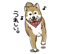 SHIBAKEN-BIYORI. sticker #5858425