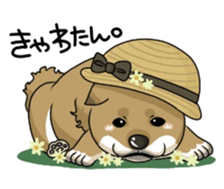 SHIBAKEN-BIYORI. sticker #5858427