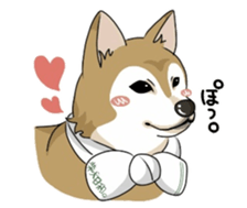 SHIBAKEN-BIYORI. sticker #5858429