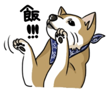 SHIBAKEN-BIYORI. sticker #5858430