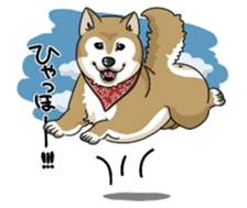 SHIBAKEN-BIYORI. sticker #5858431