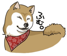 SHIBAKEN-BIYORI. sticker #5858434