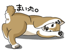 SHIBAKEN-BIYORI. sticker #5858435