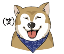 SHIBAKEN-BIYORI. sticker #5858438