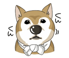 SHIBAKEN-BIYORI. sticker #5858439