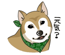 SHIBAKEN-BIYORI. sticker #5858440