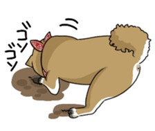 SHIBAKEN-BIYORI. sticker #5858444