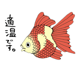 There a goldfish sticker #5858890